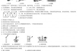 2019安徽省中考化学真题及答案