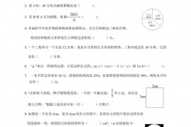 绵阳南山中学双语学校小学升初中数学试题