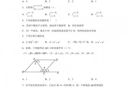 广东省东莞市东华初级中学2018-2019学年七年级下学期期中数学试题