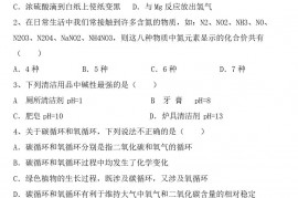 初中九年级化学上册期中测试卷(完整)