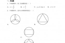 天津市实验中学滨海学校2022-2023学年九年级上学期期中质量调查数学试题