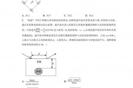 2022~2023学年湖北省武汉市洪山高级中学高三（上）期末模拟物理试卷