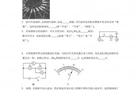 2019-2020学年江西省宜春市高安中学八年级（上）期末物理试卷