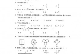 海南华侨中学2023年初中学业水平考试仿真试题数学