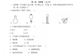 中大附中2018学年第一学期期中考试高一化学科试卷