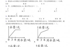 2020-2021年苏州立达中学小升初数学试题含答案