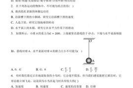 2022~2023学年上海市建平中学高一（上）期中物理试卷