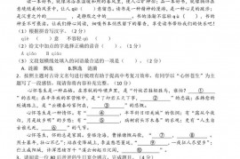 2022学年第二学期慈溪实验中学九年级语文阶段性测试试卷（1）