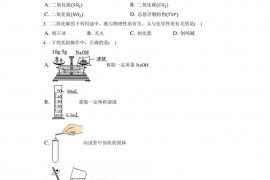 2019年湖北省黄冈中学自主招生化学试卷