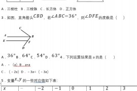 2022年陕西省九年级中考数学 模试题