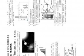 江西省高安中学2020-2021学年度上学期期末考试高一年级地理试题