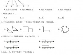 2020北京人大附中初一（下）期末数学