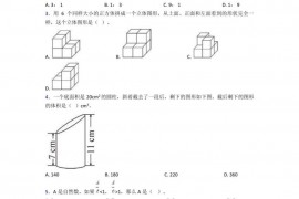 2020-2021成都石室中学初中学校小学数学小升初第一次模拟试卷