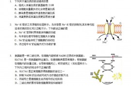 北大附中2023届高三调研测试生物