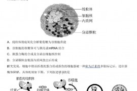 2022年北京市朝阳区高三下高考二模生物试卷