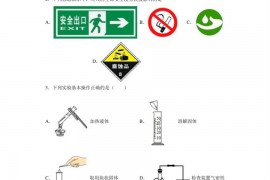 广东省东莞市虎门外国语学校等十校2021-2022学年九年级上学期期末化学试题