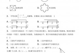 2022-2023学年河南省郑州外国语中学八年级（下）期中数学试卷