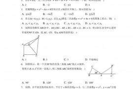 2021-2022学年湖北省荆州市荆州区荆南中学九年级（上）期中数学试卷