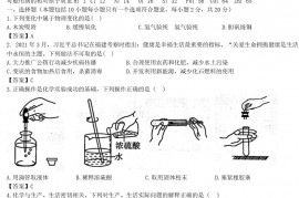 2021年山东省菏泽市中考化学真题及答案