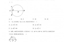 2023年湖北省武汉外国语学校（初）一模数学