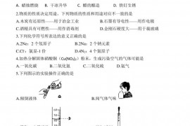 南阳市实验中学2022秋期期末调研试卷九年级化学