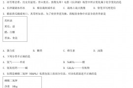 2022年湖北省黄石市中考化学真题及答案