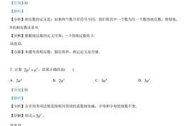 2023年浙江省丽水市中考数学真题（解析版）