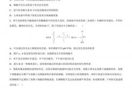 衡阳市八中2021级高二上期期末考试生物试卷