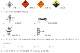 2020年新疆兵团中考化学真题及答案