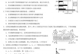 河南省商城高中2011届高三10月月考生物试卷