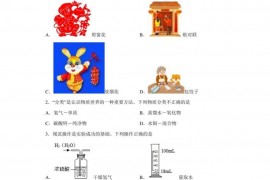 陕西省西安市高新第一中学2022-2023学年九年级上学期期末化学试题