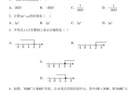 重庆市垫江县垫江第八中学校2022-2023学年九年级上学期期末数学试题