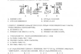 河北省衡水中学高一(上)期末化学试卷