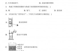 2022年河南省郑州外国语学校中考化学适应性试卷