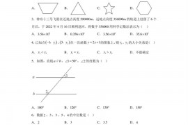 2023年广东省东莞中学松山湖学校中考一模数学试卷