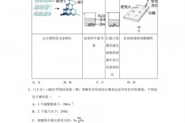 2022年广东省深圳中学中考化学一模试卷