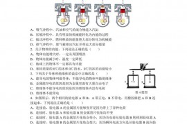 湖北省武汉市第二初级中学＆武汉二中广雅中学2019-2020学年九年级（上）物理训练卷（二）