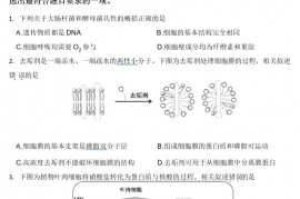 2022届北京市顺义区高三二模生物试题(word版)