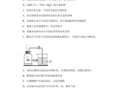 2023年广东省广州市广大附中中考一模化学试题