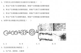 2020年黑龙江龙东地区中考生物真题及答案