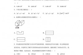 2023年湖南省长沙市雅礼实验中学中考二模数学试题