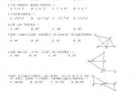 2020-2021学年广东省东莞市东华初级中学八年级（上）期中数学试卷