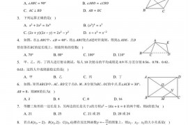 越秀区名德实验学校初三级综合训练（二）数学（问卷）