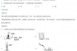 2021年陕西渭南中考化学真题及答案