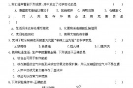 2007年第17届“天原杯”初中化学竞赛广东初赛惠州赛区试题