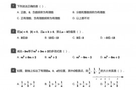 2017~2018学年广东广州越秀区广大附中初一上奥班期中数学试卷