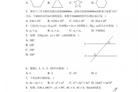 2023年广东省东莞中学松山湖学校中考数学一模试卷