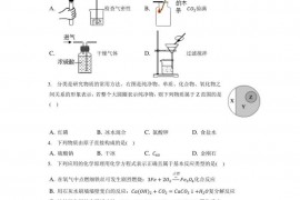 2019-2020学年黑龙江省大庆一中九年级（下）期中化学试卷