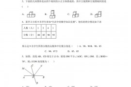 2020年广东省深圳实验学校中学部中考数学三模试题