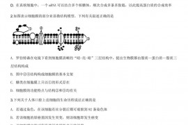 重庆西南大学附属中学校2019届高三第十次月考理综-生物试题